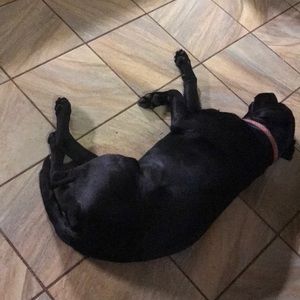 Meet your Posher, Charles